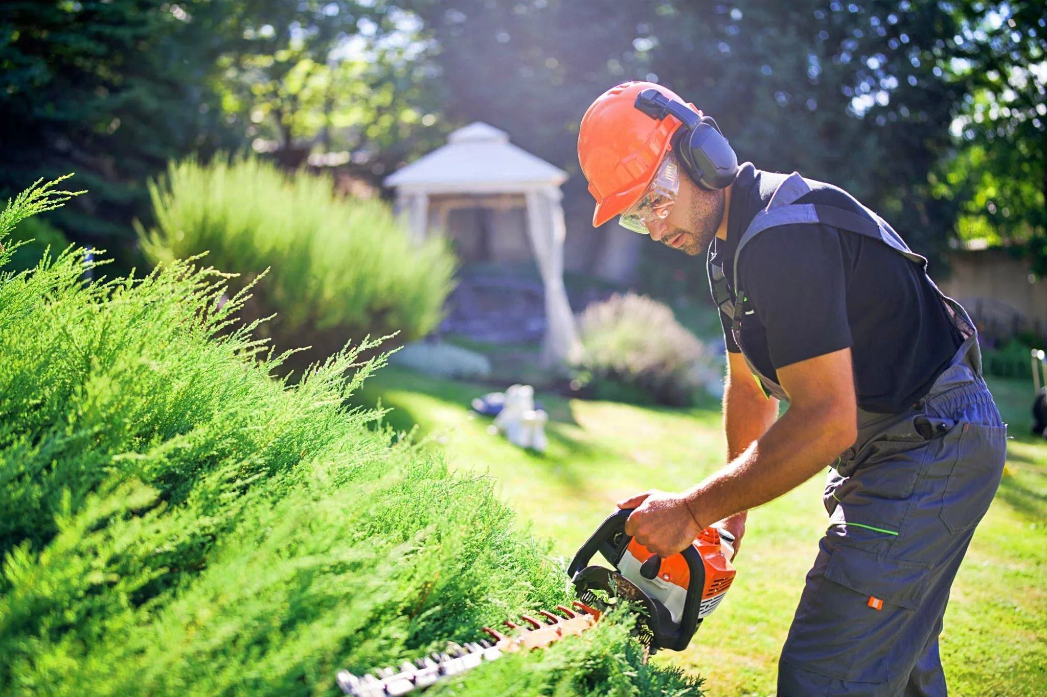 Ein professioneller Gärtner führt Gartenarbeiten aus und schneidet mit einer Elektrosäge die Hecke im Garten.
